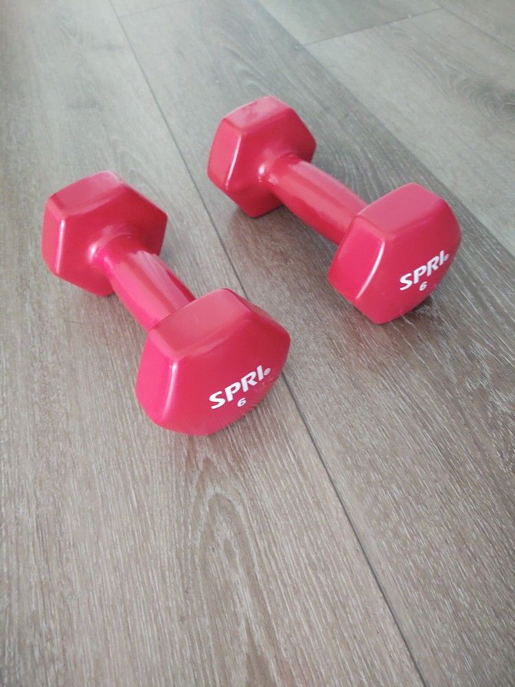 Red 6 Pound Weights SPRI 6 lbs