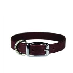 New OmniPet Burgundy Genuine Leather Collar