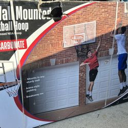 Basketball Hoop Wall Mounted