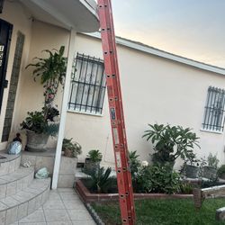 Escalera De 24 De Fibra De Vidrio Muy Barata Así Nueva 
