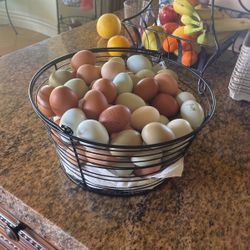 Organic chickens eggs 