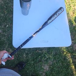 Rawlings Raptor Baseball bat