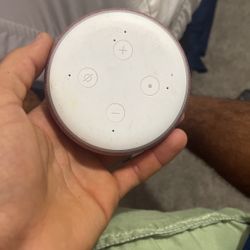 Amazon Echo 