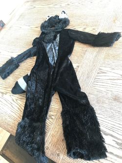 Child’s raccoon costume size 2-4