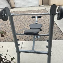 Bench Press With Bar And Weights