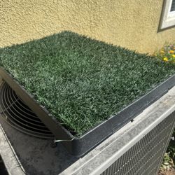 Dog Potty Pad