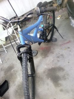 Bicicleta