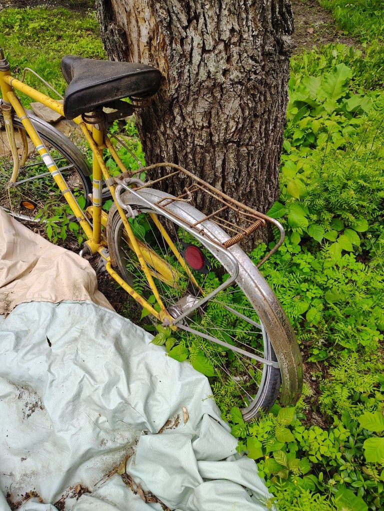 Yellow Bike