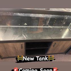 120 GAL Fish Tank