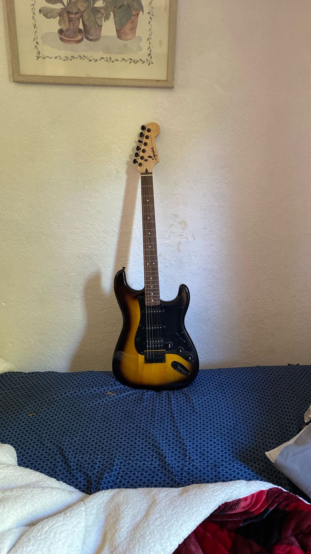 Squier Stratocaster
