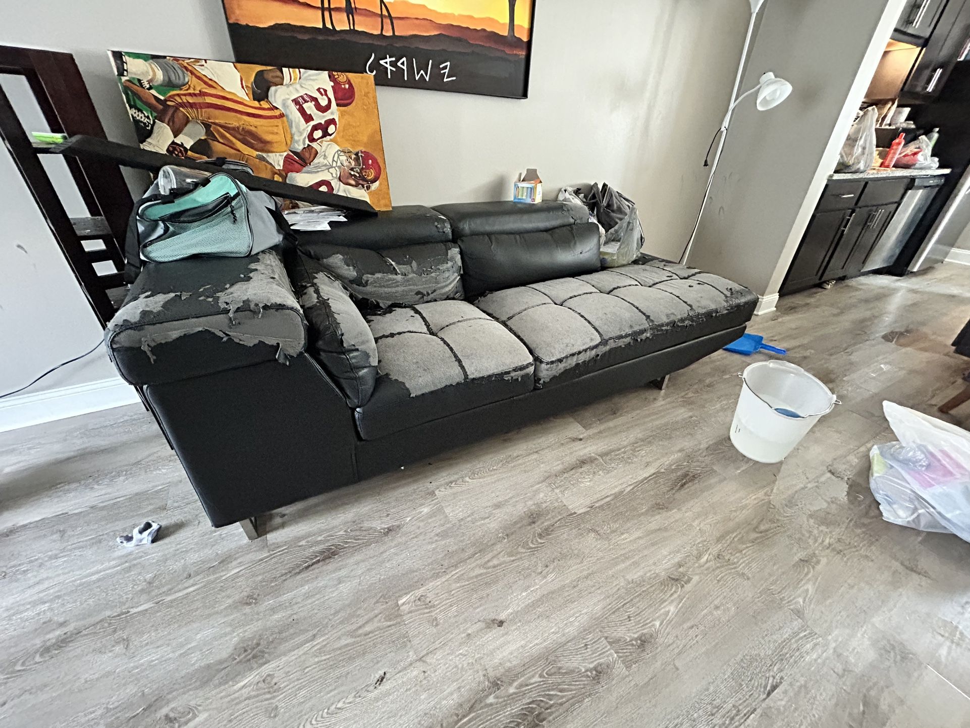 Used Couch