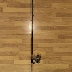 Spinning rod and reel combo for salmon fishing