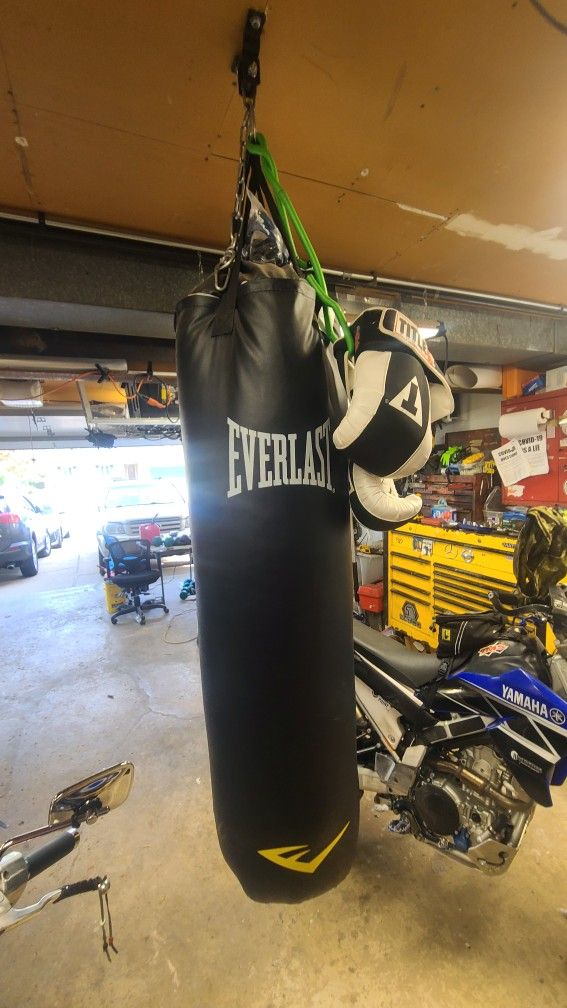 Everlast Punchung Bag