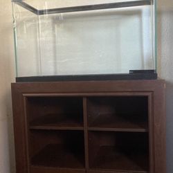 Free  Fish tank and stand