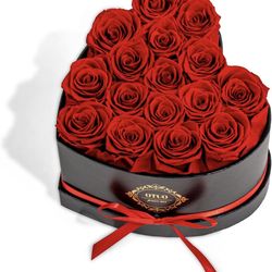 16 Preserved Roses in Heart-Shaped Box, Flowers for Delivery Prime Last up 2 Years, Real Forever Flowers for Wife, Girlfriend, Mother, Eternal Roses f