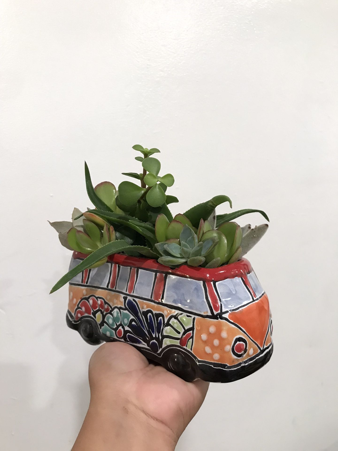 Succulent Planter