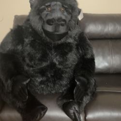 2 ft Aurora Miyori Gorilla