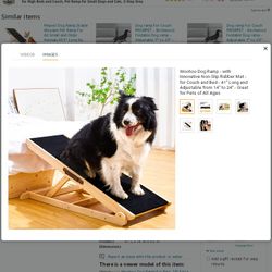 Doggy Ramp
