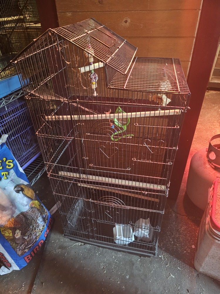 Bird Cage