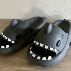 Cloud shark Slides 