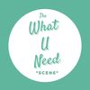 WhatUNeedScene