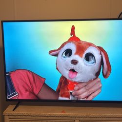 Flatscreen Tv