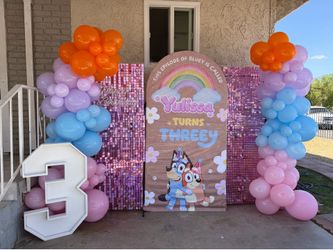 Bluey birthday decora