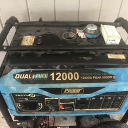 Dual Fuel 12000 Watt Generator