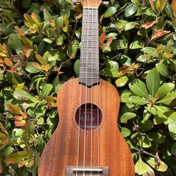 Kala Ukulele 