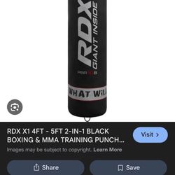Punching Bag 