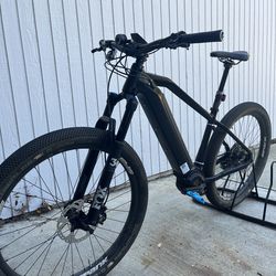 Bosch Ebike