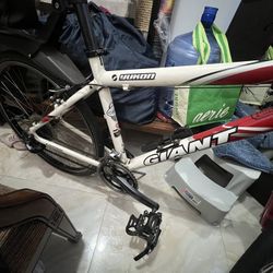 Bike / Giant