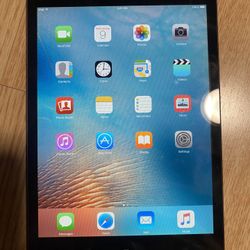 Apple MD528LL/A iPad Mini 16GB WiFi, Black w/Charger