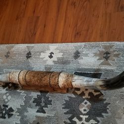 Longhorn Steer Horns