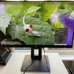 24 inch 1080p monitors