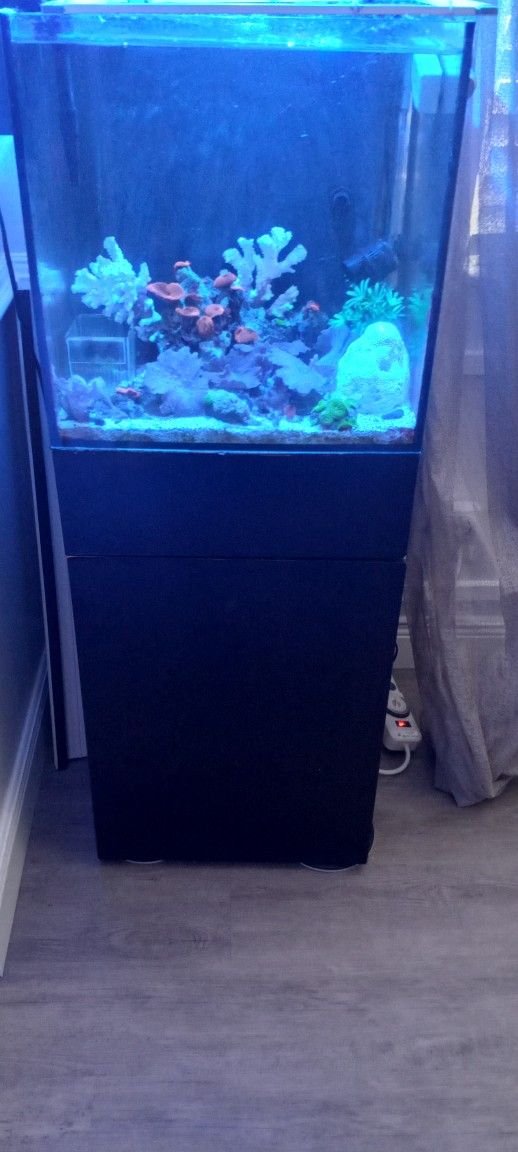 Saltwater Tank 29 Gallon