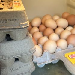 Fresh Eggs/ Huevos Frescos