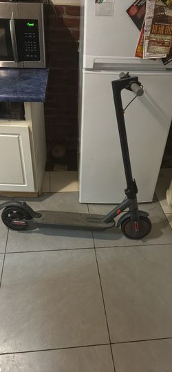 Adult electric scooter
