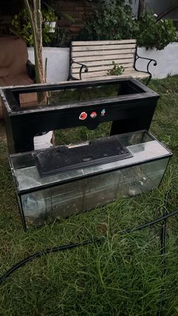Fish Tank