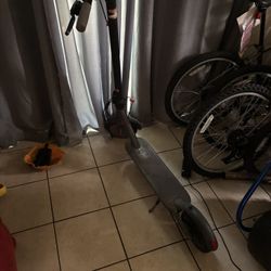 Electric Scooter 