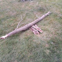 Firewood 