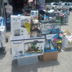 Animal Supplies 