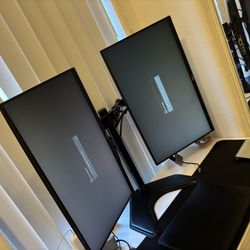 Two 21” Dell monitors with stand 