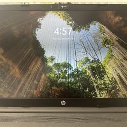 HP 255 G8 (16gb RAM, Ryzen 5 Processor)