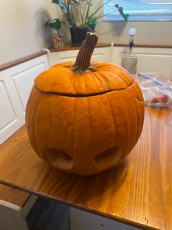 Pumpkin baby photo shoot 🎃📸