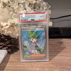 Pokemon Trainer Wally's Compassion #176