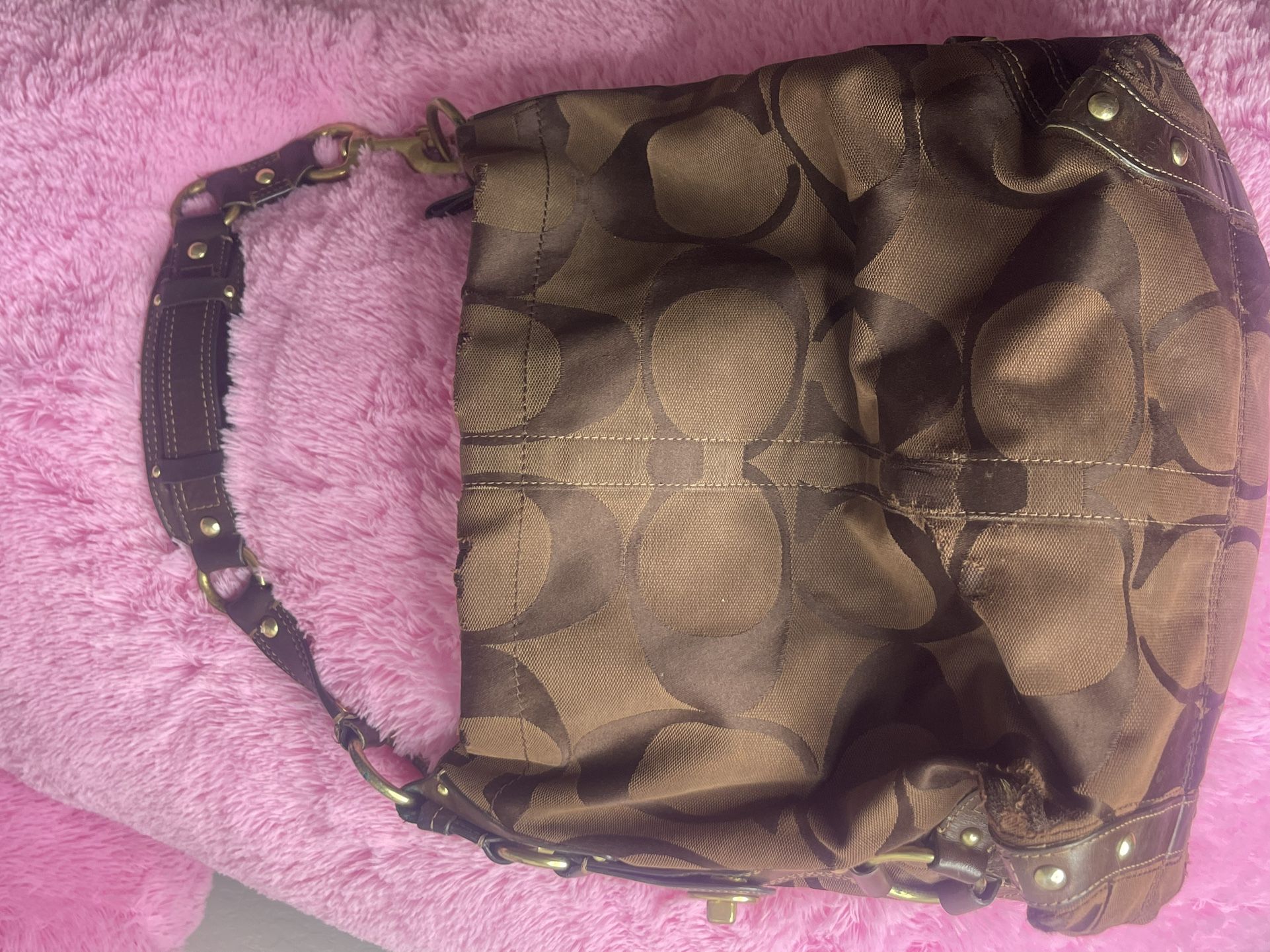 Coach Carly Hobo Bag