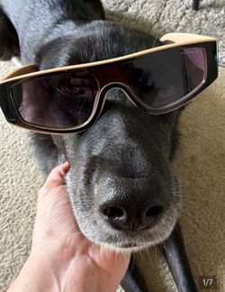 New Chanel sunglasses black tan LOOK
