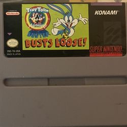 Tiny Toons Buster Bust Loose 