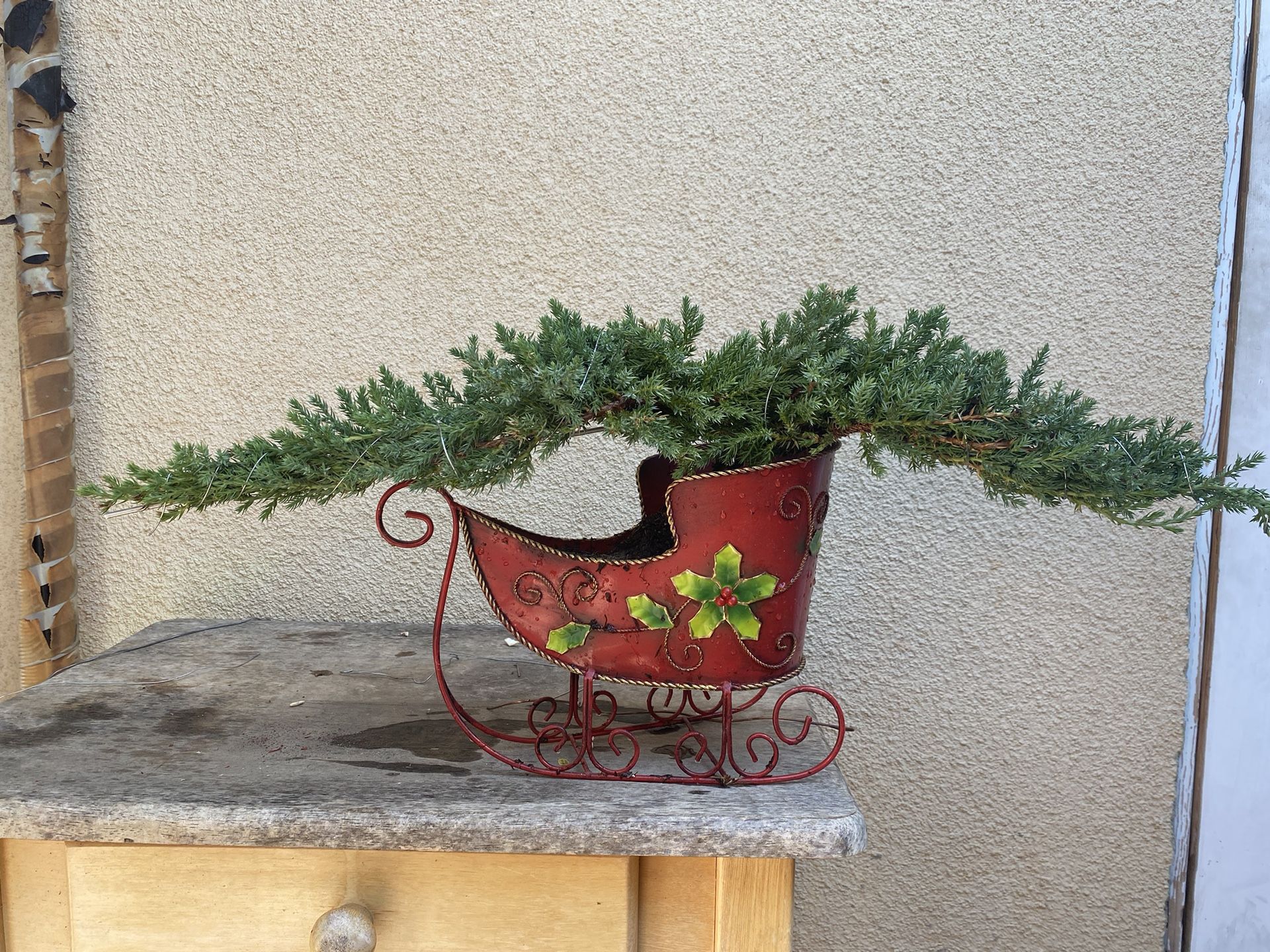 Bonsai Japanese Garden Junipers $65 Each